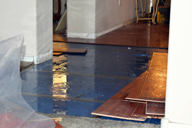 Professional Water Damage Restoration technician working in Collins, MS